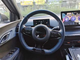 BYD Seagull 2025 купить из Китая, цена 1 437 000 ₽ — Suifenhe Auto