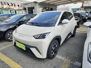 BYD Seagull 2024 купить из Китая, цена 1 392 000 ₽ — Suifenhe Auto