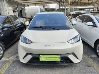 BYD Seagull 2024 купить из Китая, цена 1 392 000 ₽ — Suifenhe Auto