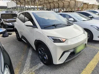 BYD Seagull 2024 купить из Китая, цена 1 392 000 ₽ — Suifenhe Auto