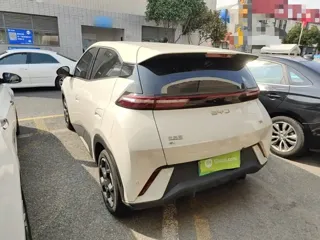 BYD Seagull 2024 купить из Китая, цена 1 392 000 ₽ — Suifenhe Auto