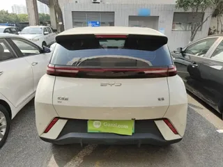 BYD Seagull 2024 купить из Китая, цена 1 392 000 ₽ — Suifenhe Auto