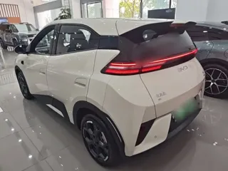 BYD Seagull 2025 купить из Китая, цена 1 516 000 ₽ — Suifenhe Auto