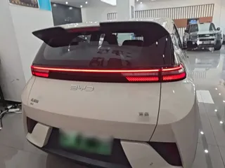 BYD Seagull 2025 купить из Китая, цена 1 516 000 ₽ — Suifenhe Auto
