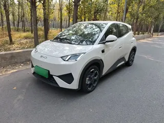 BYD Seagull 2026 купить из Китая, цена 1 551 000 ₽ — Suifenhe Auto