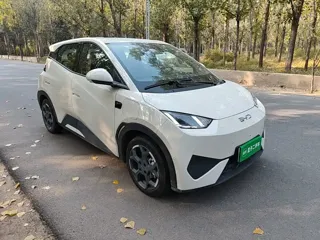 BYD Seagull 2026 купить из Китая, цена 1 551 000 ₽ — Suifenhe Auto