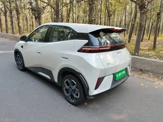 BYD Seagull 2026 купить из Китая, цена 1 551 000 ₽ — Suifenhe Auto