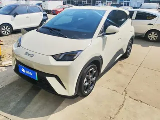 BYD Seagull 2024 купить из Китая, цена 1 209 000 ₽ — Suifenhe Auto