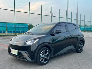 BYD Seagull 2024 купить из Китая, цена 1 661 000 ₽ — Suifenhe Auto