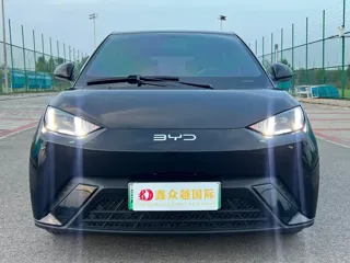 BYD Seagull 2024 купить из Китая, цена 1 661 000 ₽ — Suifenhe Auto