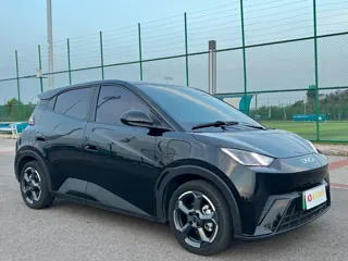 BYD Seagull 2024 купить из Китая, цена 1 661 000 ₽ — Suifenhe Auto