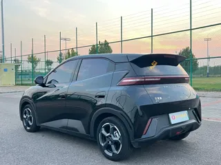 BYD Seagull 2024 купить из Китая, цена 1 661 000 ₽ — Suifenhe Auto