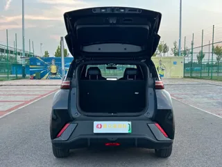 BYD Seagull 2024 купить из Китая, цена 1 661 000 ₽ — Suifenhe Auto