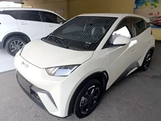 BYD Seagull 2024 купить из Китая, цена 1 245 000 ₽ — Suifenhe Auto