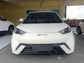 BYD Seagull 2024 купить из Китая, цена 1 245 000 ₽ — Suifenhe Auto