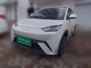 BYD Seagull 2024 купить из Китая, цена 1 475 000 ₽ — Suifenhe Auto