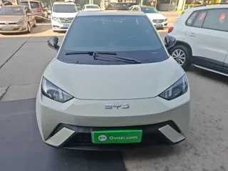 BYD Seagull 2025 купить из Китая, цена 1 383 000 ₽ — Suifenhe Auto
