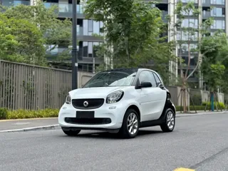 smart Smart Fortwo 2019 купить из Китая, цена 1 222 000 ₽ — Suifenhe Auto