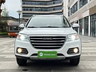 Haval H6 2020 купить из Китая, цена 1 251 000 ₽ — Suifenhe Auto