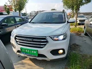 Haval H6 2020 купить из Китая, цена 1 169 000 ₽ — Suifenhe Auto