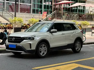 Venucia T60 2021 купить из Китая, цена 1 323 000 ₽ — Suifenhe Auto
