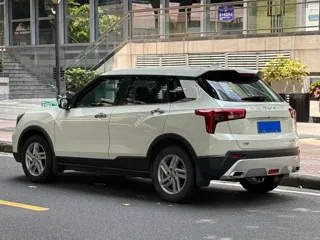 Venucia T60 2021 купить из Китая, цена 1 323 000 ₽ — Suifenhe Auto