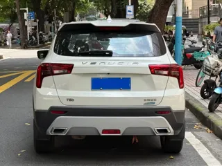 Venucia T60 2021 купить из Китая, цена 1 323 000 ₽ — Suifenhe Auto