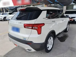 Venucia T60 2022 купить из Китая, цена 1 313 000 ₽ — Suifenhe Auto