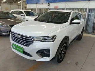 Haval H4 2020 купить из Китая, цена 1 096 000 ₽ — Suifenhe Auto