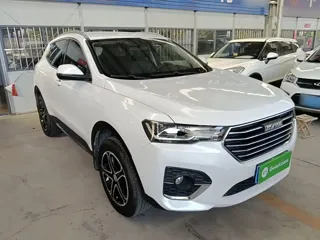 Haval H4 2020 купить из Китая, цена 1 096 000 ₽ — Suifenhe Auto
