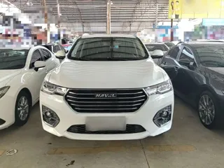 Haval H4 2019 купить из Китая, цена 1 215 000 ₽ — Suifenhe Auto