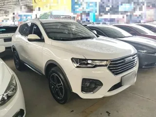 Haval H4 2019 купить из Китая, цена 1 215 000 ₽ — Suifenhe Auto