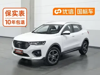 Haval H4 2020 купить из Китая, цена 1 223 000 ₽ — Suifenhe Auto