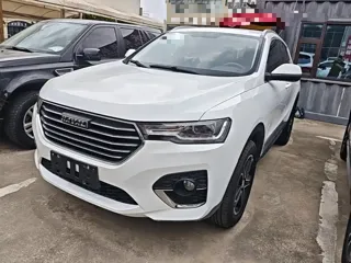 Haval H4 2020 купить из Китая, цена 1 209 000 ₽ — Suifenhe Auto