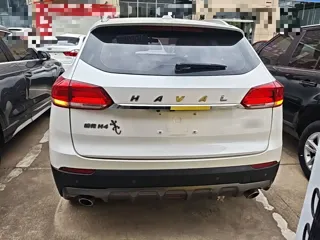 Haval H4 2020 купить из Китая, цена 1 209 000 ₽ — Suifenhe Auto