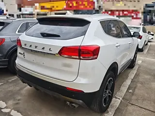 Haval H4 2020 купить из Китая, цена 1 209 000 ₽ — Suifenhe Auto
