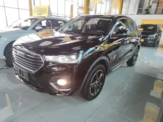 Haval H4 2020 купить из Китая, цена 1 202 000 ₽ — Suifenhe Auto