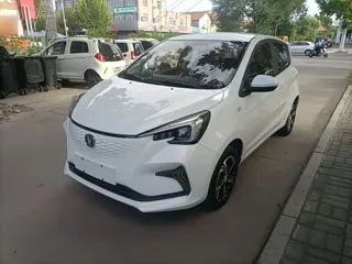 Changan Benben E-Star 2020 купить из Китая, цена 1 022 000 ₽ — Suifenhe Auto