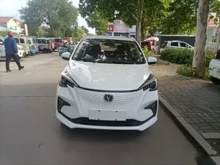 Changan Benben E-Star 2020 купить из Китая, цена 1 022 000 ₽ — Suifenhe Auto