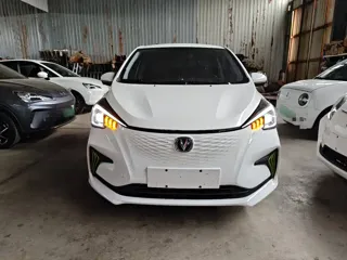 Changan Benben E-Star 2021 купить из Китая, цена 1 008 000 ₽ — Suifenhe Auto
