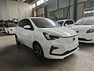 Changan Benben E-Star 2021 купить из Китая, цена 1 008 000 ₽ — Suifenhe Auto