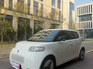 ORA White Cat 2020 купить из Китая, цена 941 000 ₽ — Suifenhe Auto