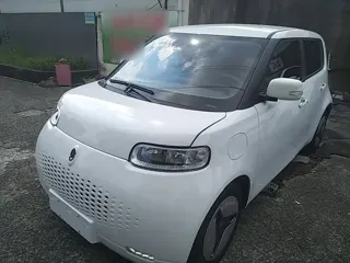 ORA White Cat 2020 купить из Китая, цена 1 076 000 ₽ — Suifenhe Auto