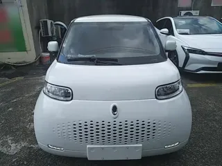 ORA White Cat 2020 купить из Китая, цена 1 076 000 ₽ — Suifenhe Auto