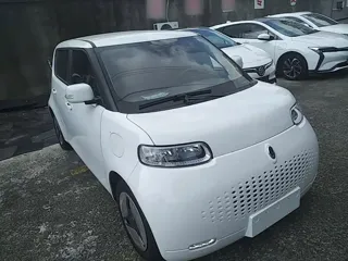 ORA White Cat 2020 купить из Китая, цена 1 076 000 ₽ — Suifenhe Auto