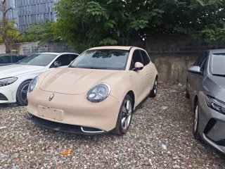 ORA Good Cat 2021 купить из Китая, цена 1 149 000 ₽ — Suifenhe Auto