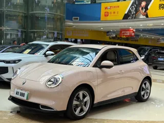 ORA Good Cat 2021 купить из Китая, цена 1 461 000 ₽ — Suifenhe Auto