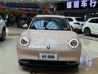ORA Good Cat 2021 купить из Китая, цена 1 461 000 ₽ — Suifenhe Auto