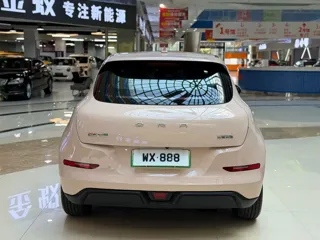 ORA Good Cat 2021 купить из Китая, цена 1 461 000 ₽ — Suifenhe Auto