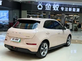 ORA Good Cat 2021 купить из Китая, цена 1 461 000 ₽ — Suifenhe Auto